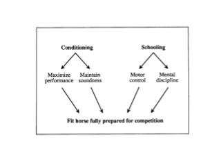 Conditioning Programs are Directed Towards: