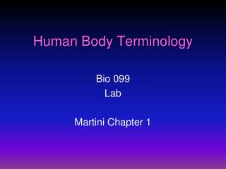 Human Body Terminology