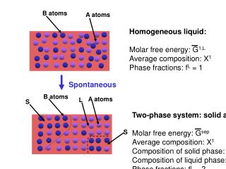 Homogeneous liquid: Molar free energy: G 1,L Average composition: X 1 Phase fractions: f L = 1
