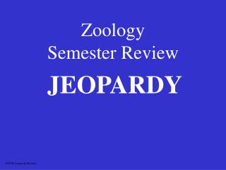 Zoology Semester Review