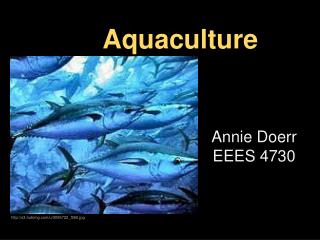 Aquaculture