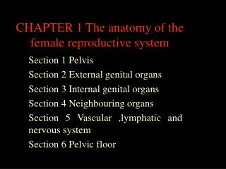 CHAPTER 1 The anatomy of the female reproductive system