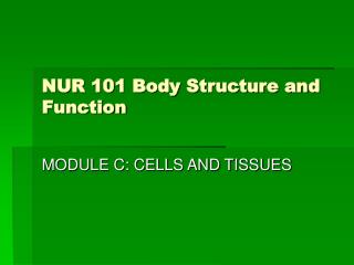 NUR 101 Body Structure and Function