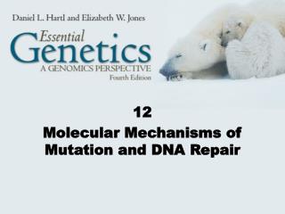 12 Molecular Mechanisms of Mutation and DNA Repair