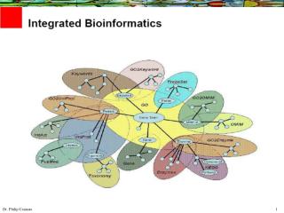 Semantic Web - caBIG