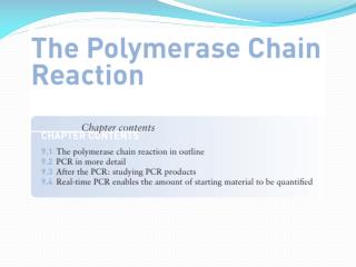 The Polymerase chain reaction in outline