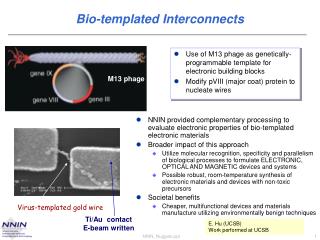 Bio-templated Interconnects