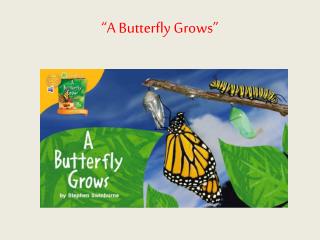 “A Butterfly Grows”