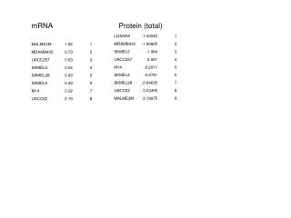 mRNA			Protein (total)