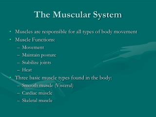 The Muscular System