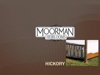 Hickory