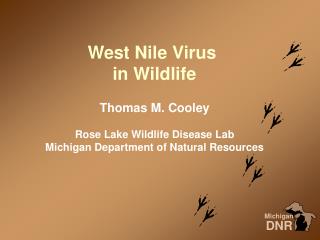 West Nile Virus in Wildlife