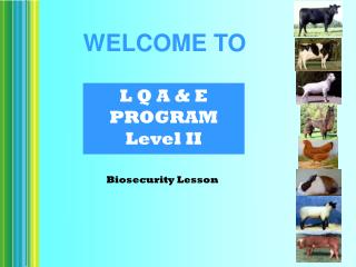 L Q A &amp; E PROGRAM Level II