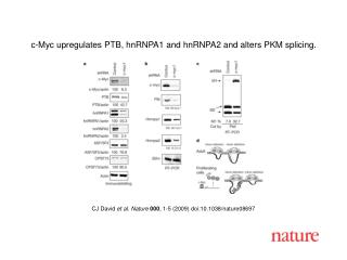 CJ David et al. Nature 000 , 1-5 (2009) doi:10.1038/nature08697