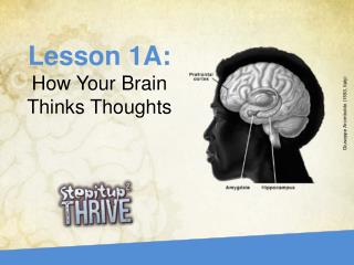 Lesson 1A: How Your Brain Thinks Thoughts