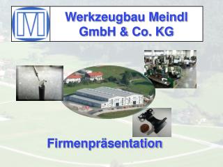 Werkzeugbau Meindl GmbH &amp; Co. KG