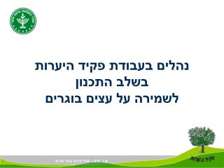 נהלים בעבודת פקיד היערות בשלב התכנון לשמירה על עצים בוגרים