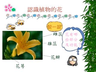 認識植物的花