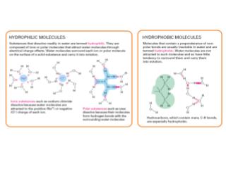 02_15_organic molecules.jpg