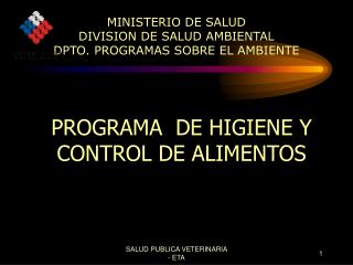 MINISTERIO DE SALUD DIVISION DE SALUD AMBIENTAL DPTO. PROGRAMAS SOBRE EL AMBIENTE