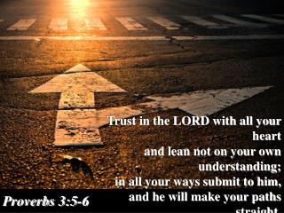 Trust in the LORD with all your heart and lean not on your own understanding;