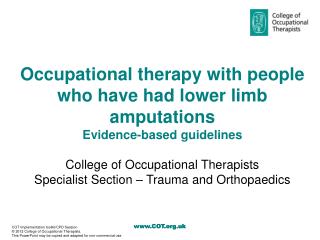 Occupational therapy with people who have had lower limb amputations Evidence-based guidelines