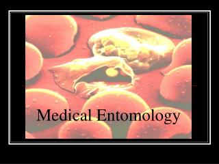 Medical Entomology