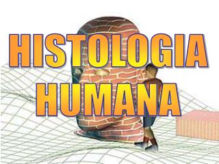 HISTOLOGIA HUMANA