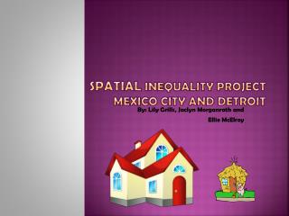 Spatial Inequality Project Mexico City and Detroit