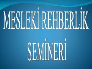 MESLEKİ REHBERLİK SEMİNERİ