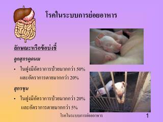 โรคในระบบการย่อยอาหาร