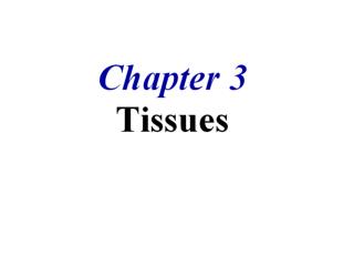 Ch 3 Cells &amp; Histology