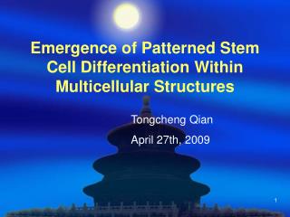 Emergence of Patterned Stem Cell Differentiation Within Multicellular Structures