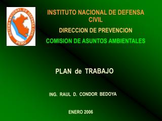 INSTITUTO NACIONAL DE DEFENSA CIVIL DIRECCION DE PREVENCION COMISION DE ASUNTOS AMBIENTALES