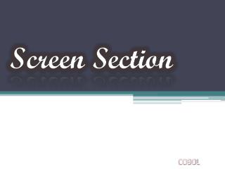 Screen Section