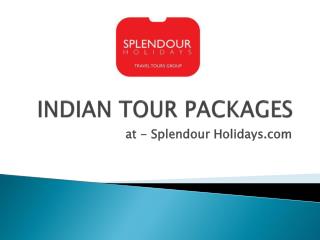 India Tour Pakages