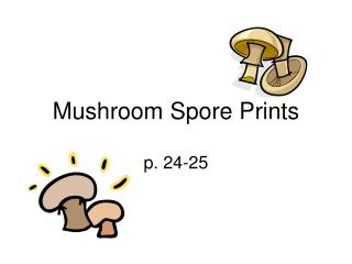 Mushroom Spore Prints