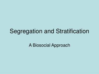 Segregation and Stratification