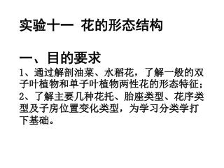 二、实验材料 油菜花、水稻小穗新鲜材料，各种花托、子房、胎座及花序类型的新鲜或浸泡标本。