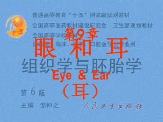 眼 和 耳 Eye &amp; Ear