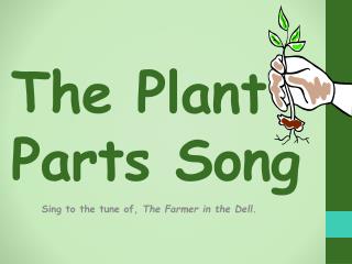 The Plant P arts Song