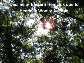 Decline of Eastern Hemlock due to Hemlock Woolly Adelgid
