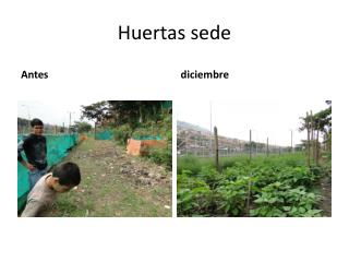 Huertas sede