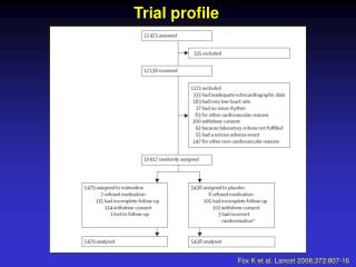 Trial profile