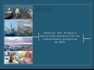 Análisis del Origen y desarrollo histórico de las comunidades pesqueras de BCS .