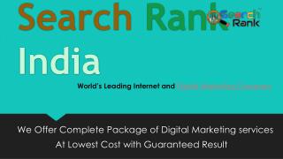 Search Engine Optimization Services