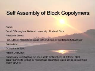 Self Assembly of Block Copolymers