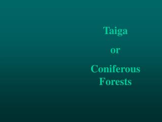 Taiga or Coniferous Forests