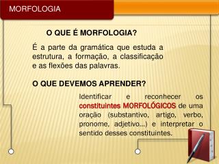 MORFOLOGIA