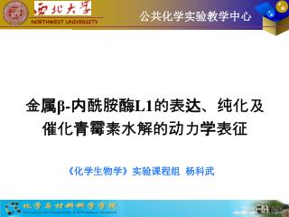 公共化学实验教学中心